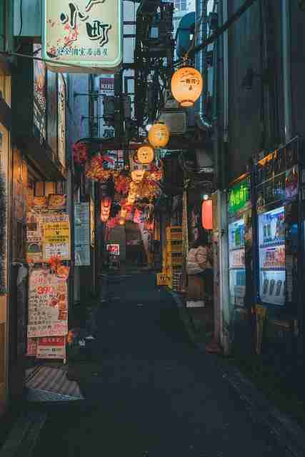 火线 91网页版生态解读——全新视角 第2张 火线 91网页版生态解读——全新视角 第2张